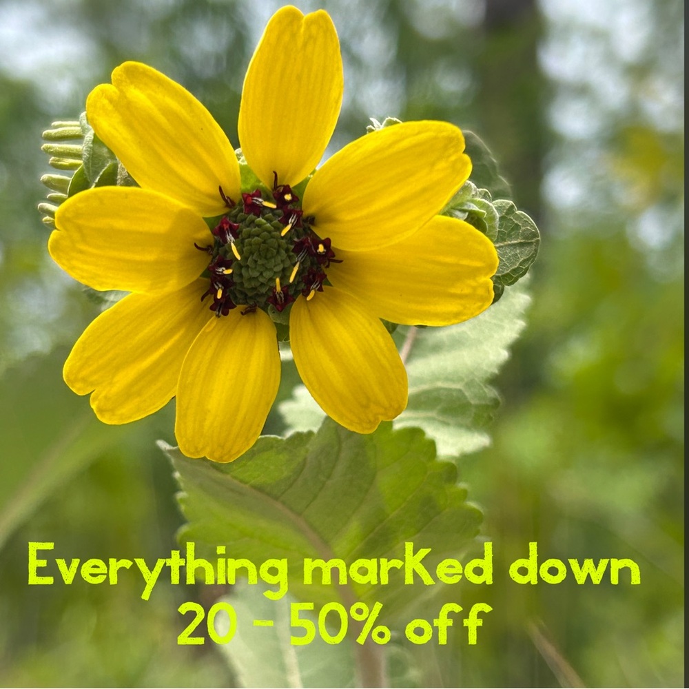 SALE entire closet marked down!